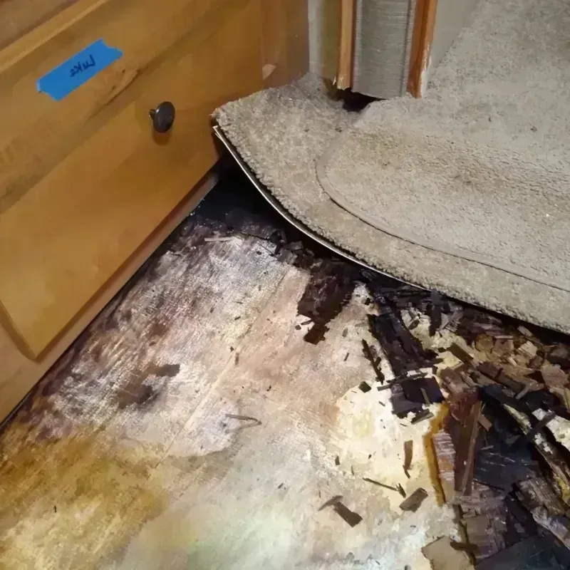 Best Wood Floor Water Damage Service in Delta, CO